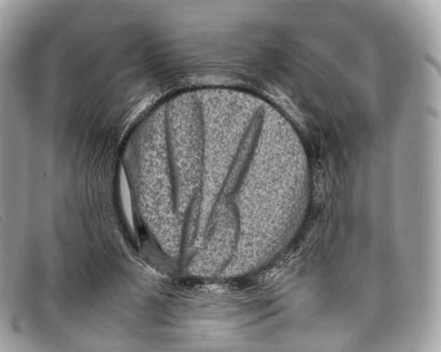 X0000097840111200804111114