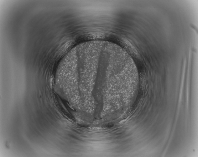X0000097840123200804111114
