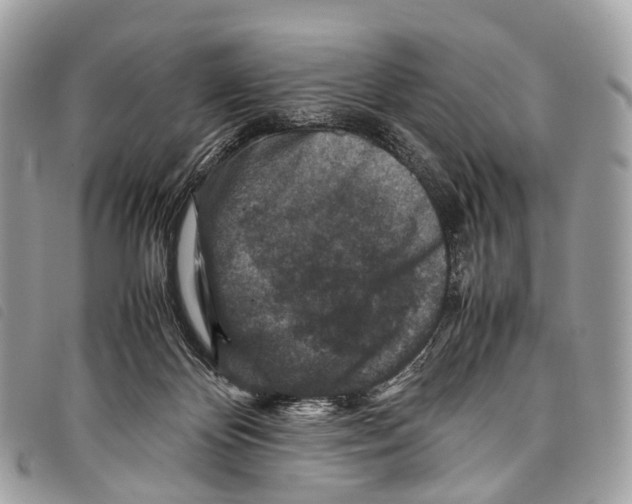 X0000097840124200804111114