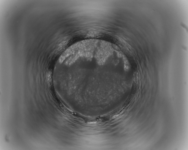 X0000097840127200804111114