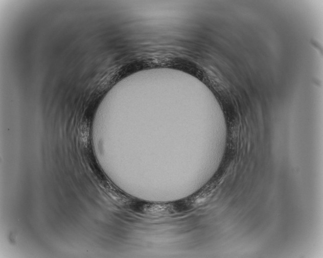 X0000097840129200804111114