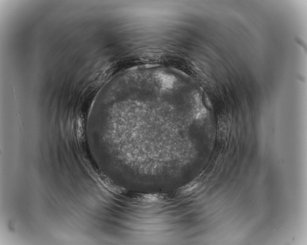 X0000097840130200804111114
