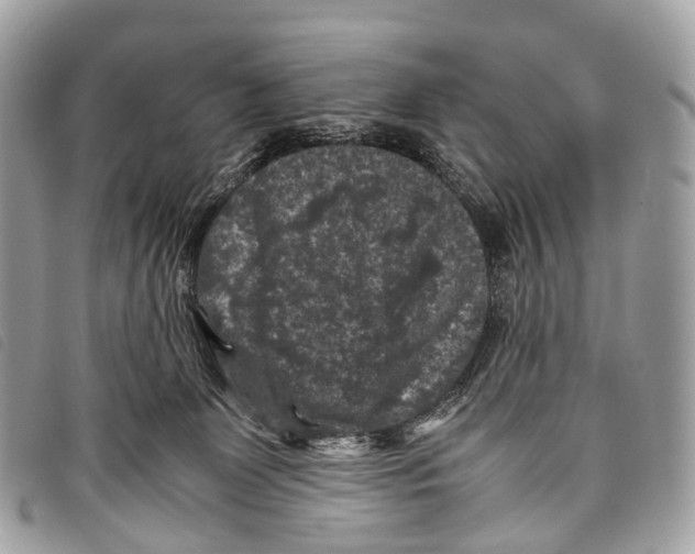 X0000097840131200804111114