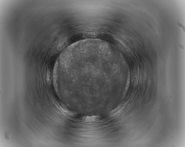 X0000097840134200804111114