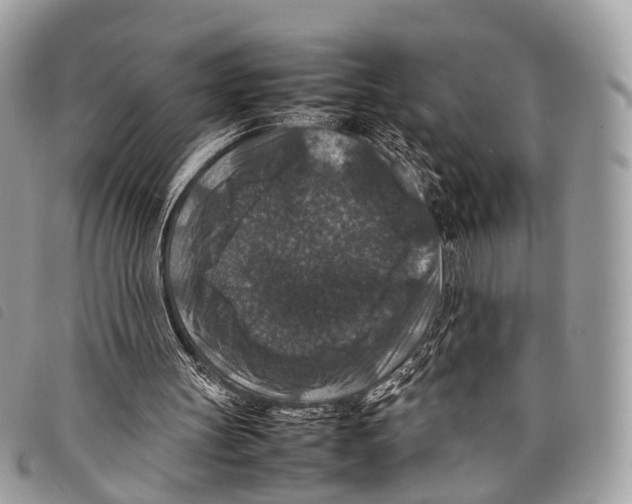 X0000097840147200804111113