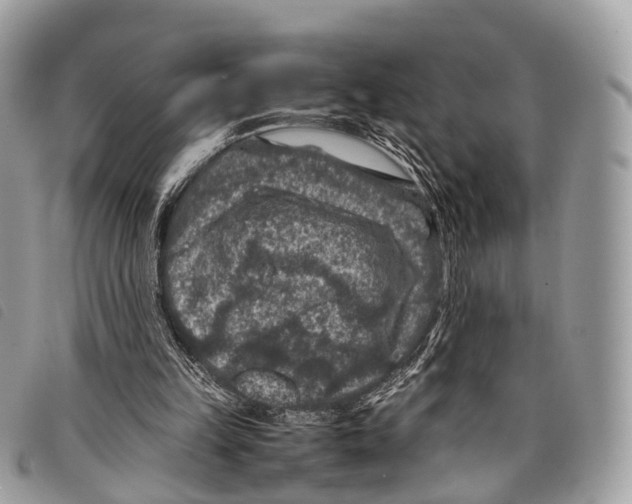 X0000097840149200804111113