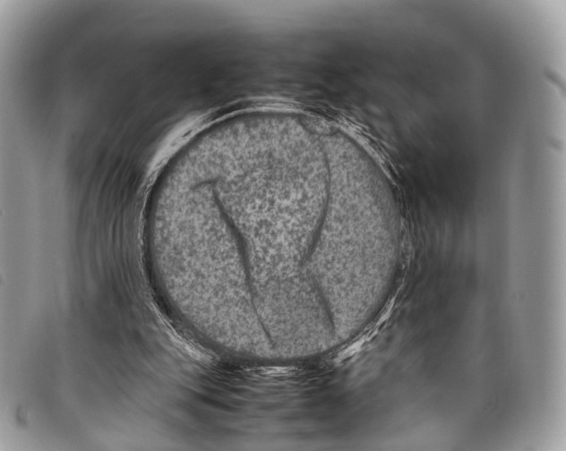 X0000097840151200804111113