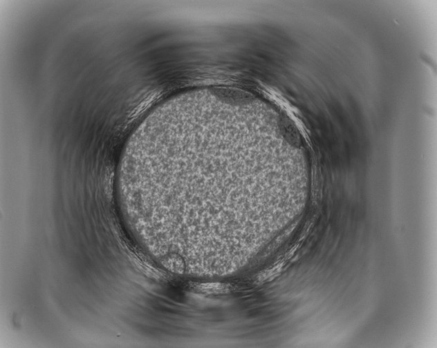 X0000097840153200804111113