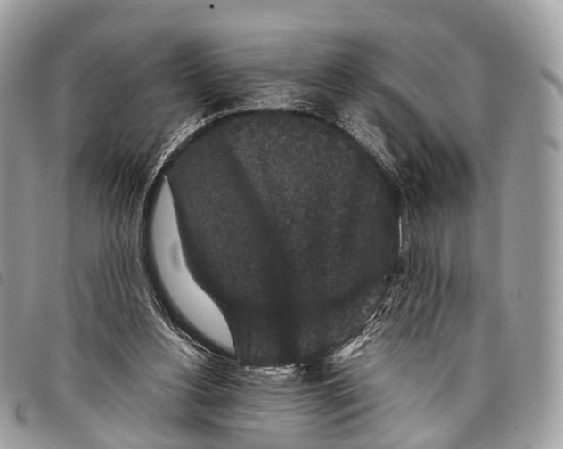 X0000097840156200804111113