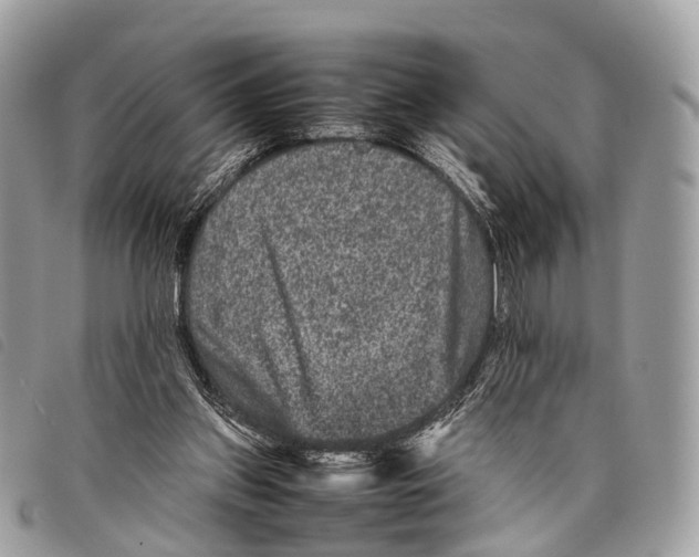 X0000097840157200804111113