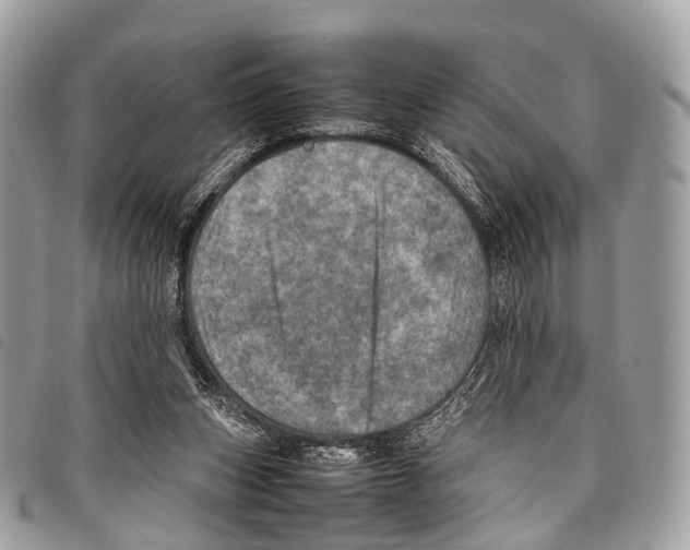X0000097840159200804111113