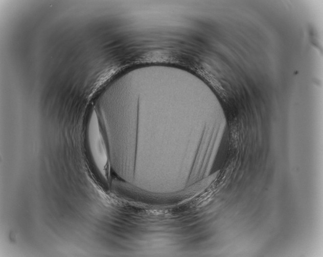 X0000097840160200804111113
