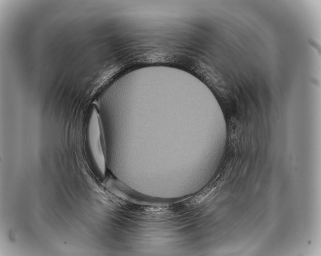 X0000097840164200804111113