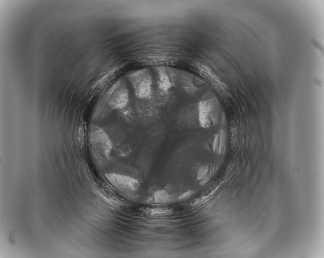 X0000097840165200804111113