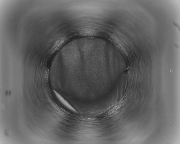 X0000097840168200804111113