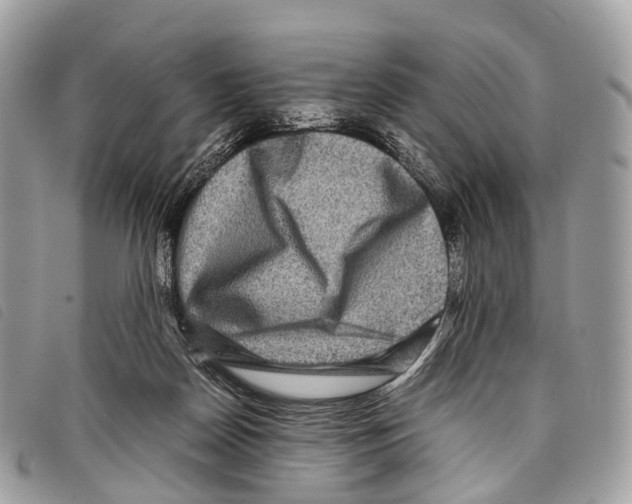 X0000097840170200804111113