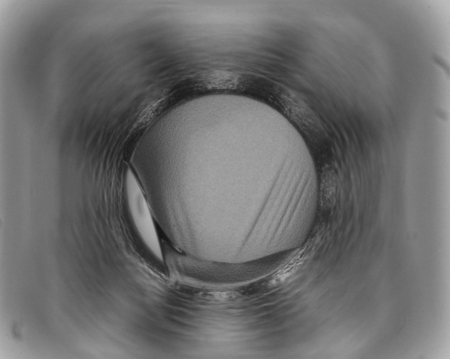 X0000097840172200804111113