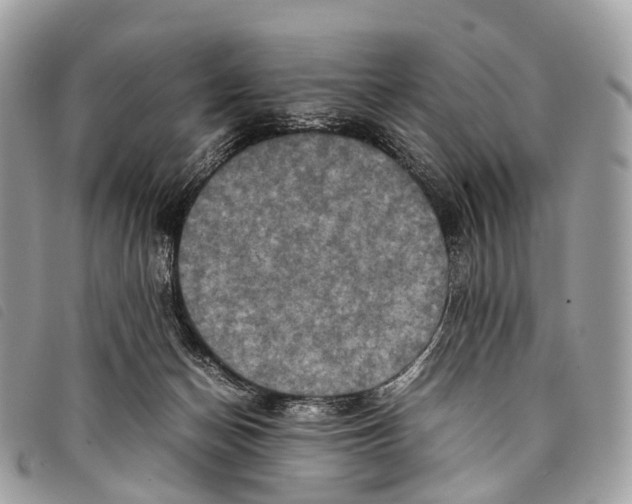 X0000097840174200804111113
