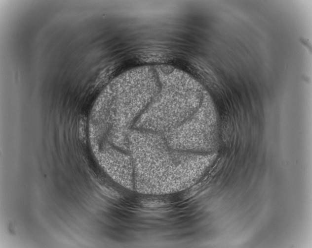 X0000097840175200804111113
