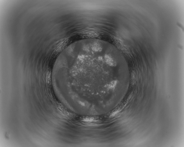 X0000097840177200804111113