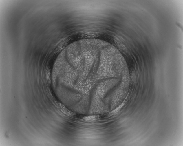 X0000097840178200804111113