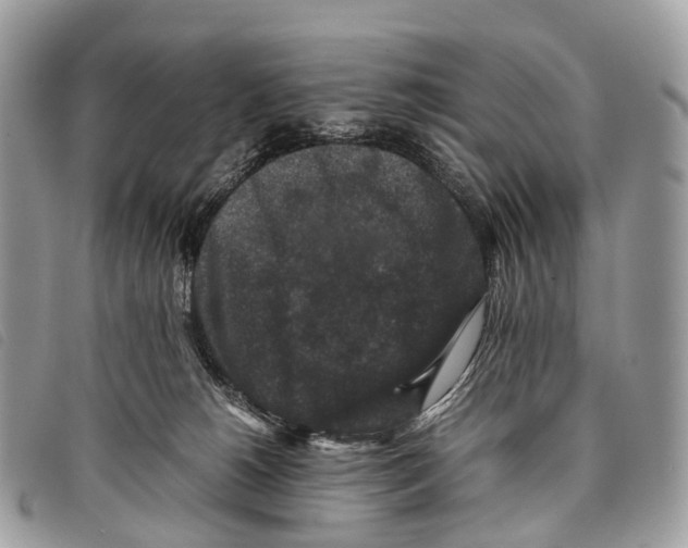 X0000097840180200804111113