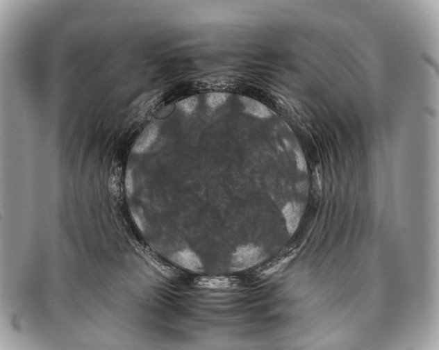 X0000097840181200804111113