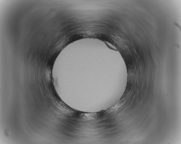X0000097840188200804111113