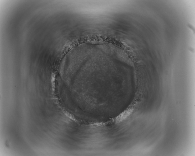X0000097840192200804111113