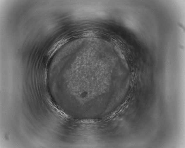 X0000097840194200804111113