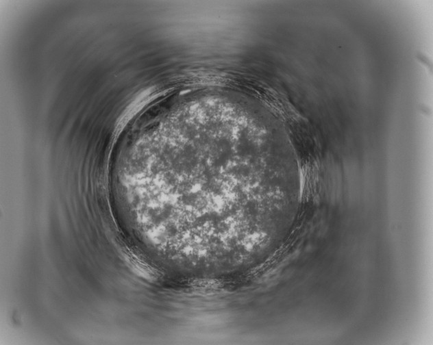 X0000097840195200804111113