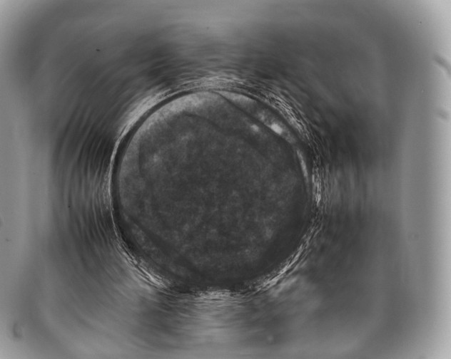 X0000097840196200804111113
