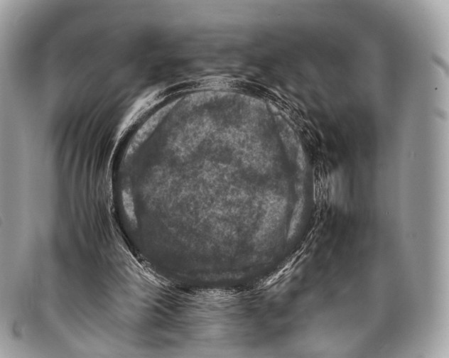 X0000097840198200804111113