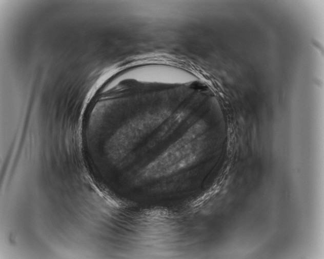 X0000097840200200804111113