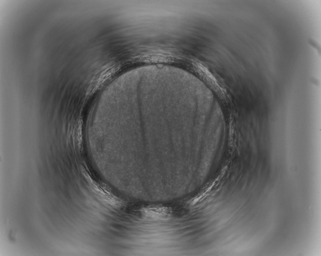 X0000097840202200804111113