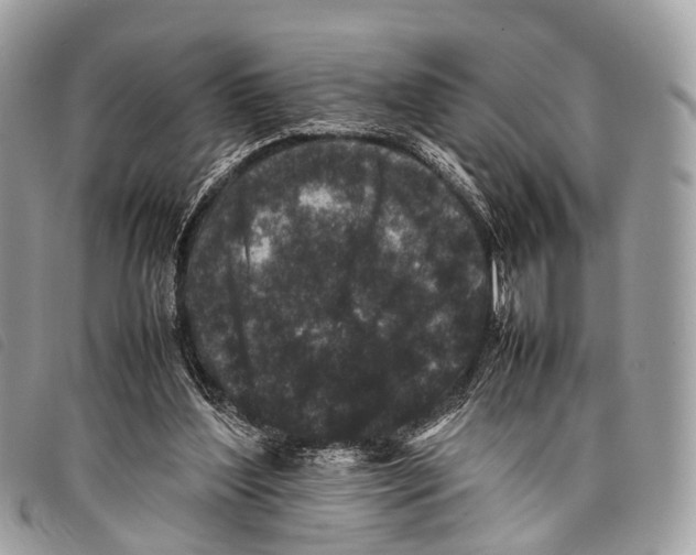 X0000097840204200804111113