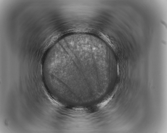 X0000097840205200804111113