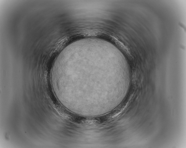 X0000097840209200804111113