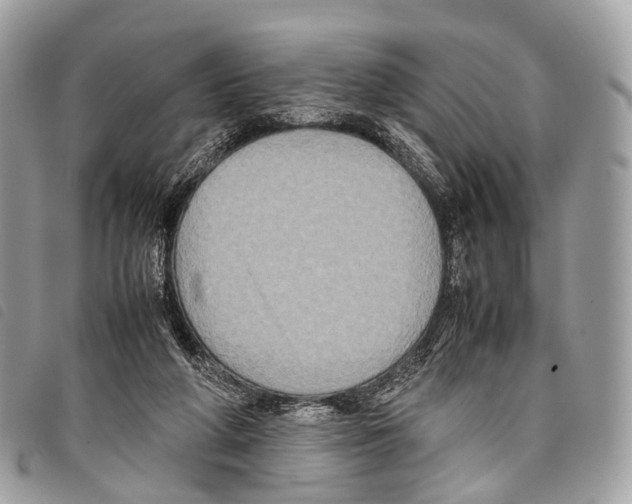 X0000097840210200804111113