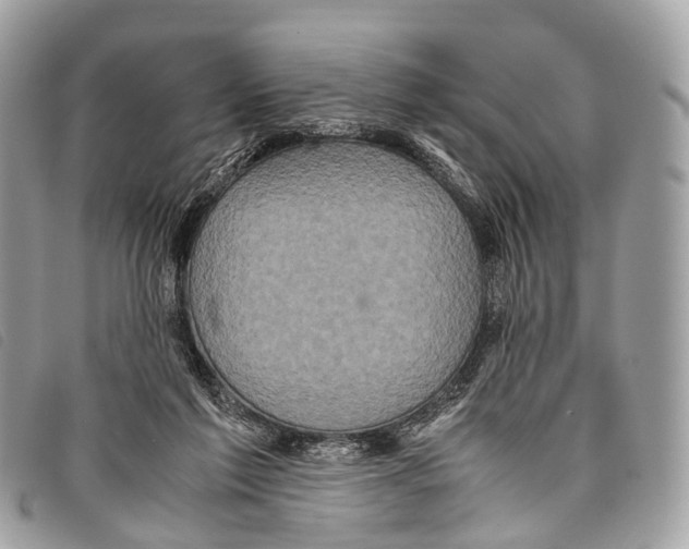 X0000097840213200804111112