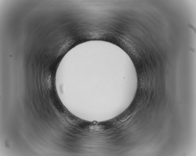 X0000097840216200804111112