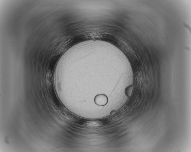 X0000097840218200804111112