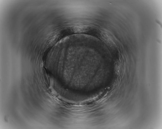 X0000097840219200804111112