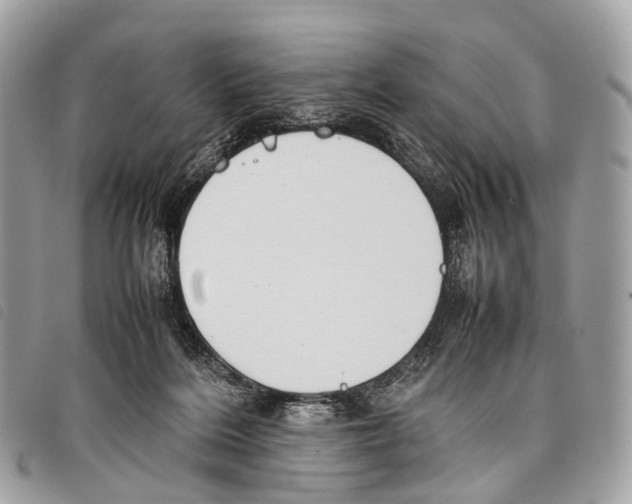 X0000097840220200804111112