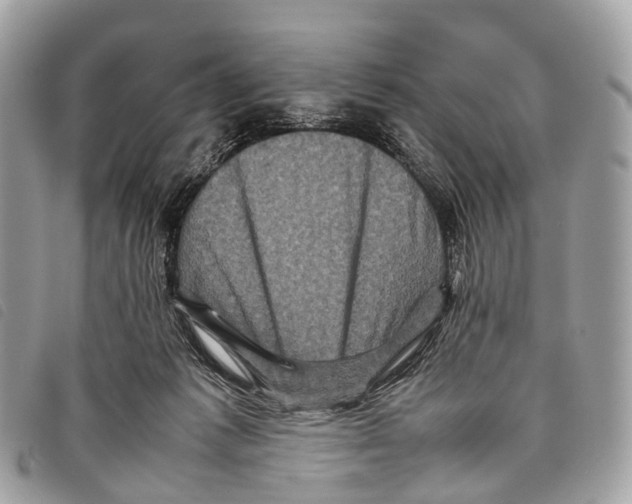X0000097840221200804111112