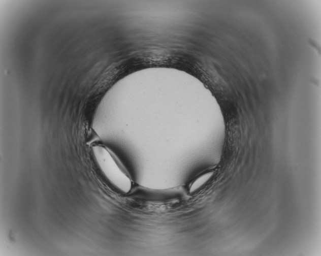 X0000097840225200804111112