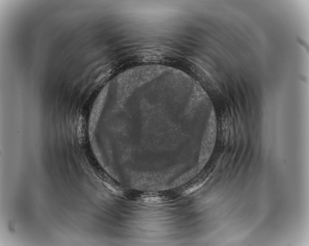 X0000097840228200804111112