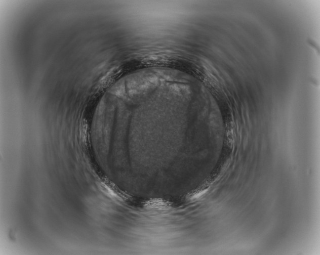 X0000097840231200804111112