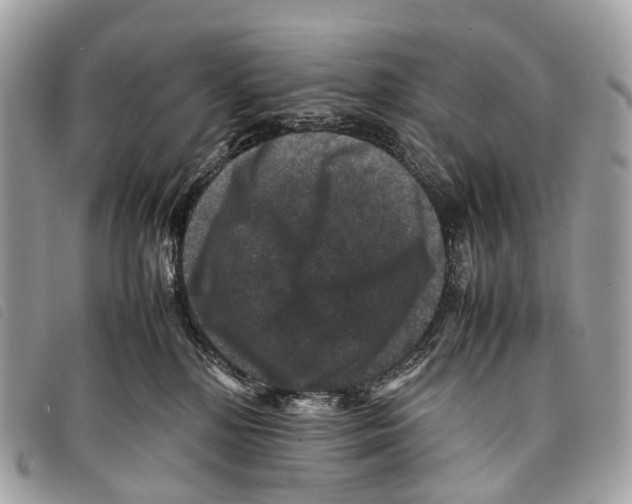 X0000097840232200804111112