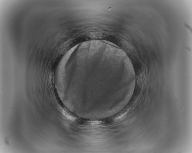 X0000097840233200804111112
